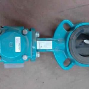 InterApp 65 PN16