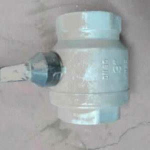 Valvula 80 PN25